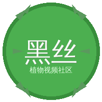 黑丝